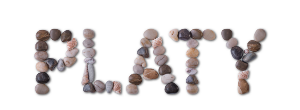 The word "PLATY" is lined with shells and stones of different shapes and colors on a transparent background. Types of fish and seafood, price tag, sea food, fish market, sea alphabet