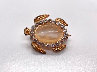 Elegant and luxurious brooch accessories on a white background