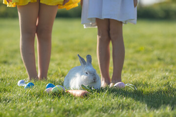 Feet of little girls playing with white Easter bunny rabbit on warm spring Easter day outdoor.
