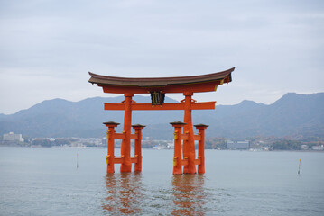 Fototapeta premium Miyajima Island, Japan - December 5, 2023: Red Giant Grand Otorii Gate at high tide during winter Hiroshima City Hiroshima Prefecture Japan