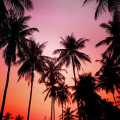 Fototapeta na wymiar Palmy Zachód Słońca