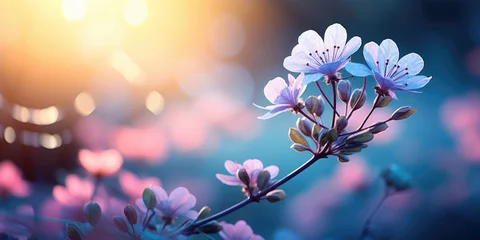 Poster Spring magnolia background with blossom brunch of pink flowers. © Landscape Planet