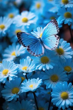 Fototapeta Beautiful blue butterfly in flight over branch of flowering apple tree in spring at Sunrise on light blue and pink background macro.