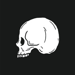 skull vector illustration template design