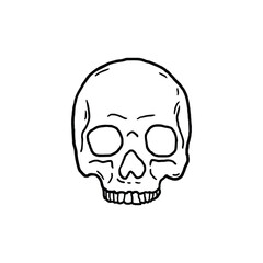 skull vector illustration template design