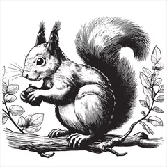 Fotobehang small furry squirrel with a big tail and fir cones sketch hand-drawn ink vector illustration © Павел Кишиков