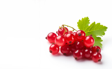 Currant isolated on white background