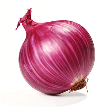 Red onion slice vegetable icon isolated transparent background