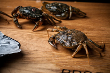 crab spider on the ground