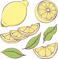 Set of colorful lemons with leaves. Ripe lemon half, whole and slices sour fruit. Vector illustration in cartoon style isolated on white. Natural and healthy food