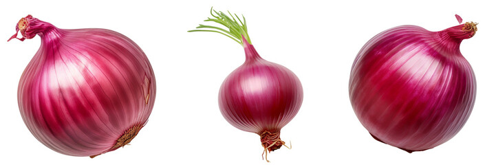 Set of red onion top view isolated on white or transparent background