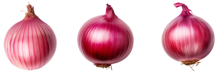 Set of red onion top view isolated on white or transparent background