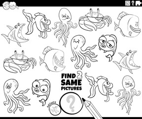 find two same cartoon marine animals activity coloring page