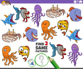 find two same cartoon marine animals educational activity
