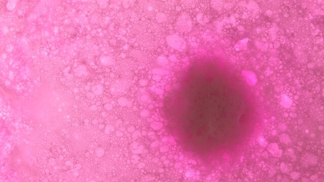 Bath bomb ball dissolves in water with foam bubbles, Cosmetic product natural and skin care