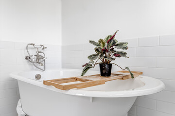 A clawfoot tub with a chrome faucet and a bathtub tray sits on top with a plant. The wall is lined with white subway tiles.