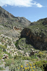 Les gorges de Kotsifos près de Spili en Crète