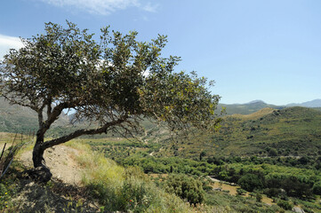 La vallée du Megalopotamos près de Kato Preveli près de Spili en Crète