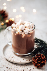 Glass mug of hot chocolate and marshmallows