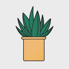 plant in pot