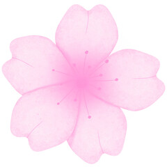 Flowers Love floral spring