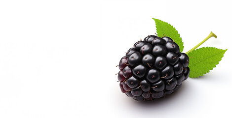 Blackberry isolated on white background