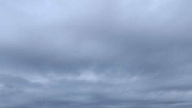 Birds fly fearlessly around a sky with storm clouds