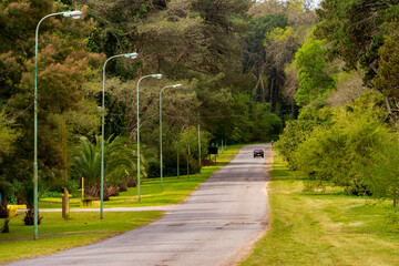 ruta transitada rodeada de luces y arboles verdes 