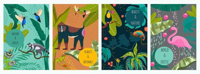 Hand drawn flat exotic fauna and flora vertical cards collection with wild animals and tropical plants