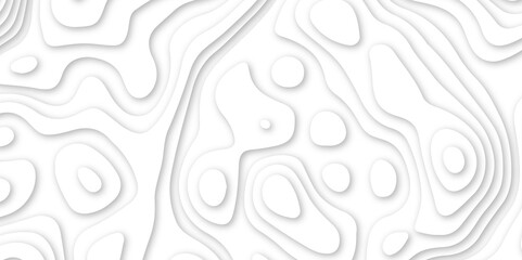 Abstract wavy line 3d paper cut white background. abstract white background with smooth wavy layers. silver grid map line topography mount contour map .