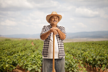 Farmer leaning on a shovel on a vineyard