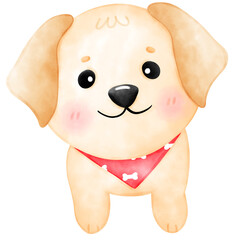 Labrador dog, puppy, cute dog