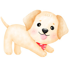 Obraz premium Labrador dog, puppy, cute dog