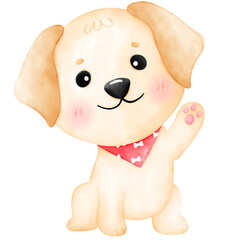 Labrador dog, puppy, cute dog