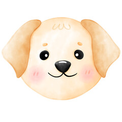 Labrador dog, puppy, cute dog