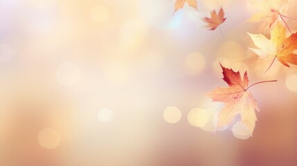 Obraz premium Autumn background with maple leaves