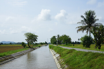 Fototapeta na wymiar Rice field irrigation channels and village roads