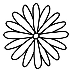 Сhamomile Flower isolated on a transparent. Botanical modern trendy vector elements. For cards, logo, decorations, invitations, boho designs.