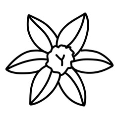 Daffodil Flower isolated on a transparent. Botanical modern trendy vector elements. For cards, logo, decorations, invitations, boho designs.