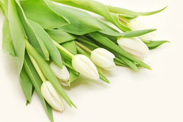 Bouquet of fresh white tulips close-up.