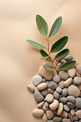 Smooth stones and spa plant. Selective focus.