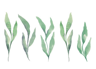 Watercolor greenery border. Isolated illustrations