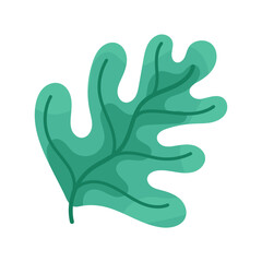 flat color vector leaf object illustration