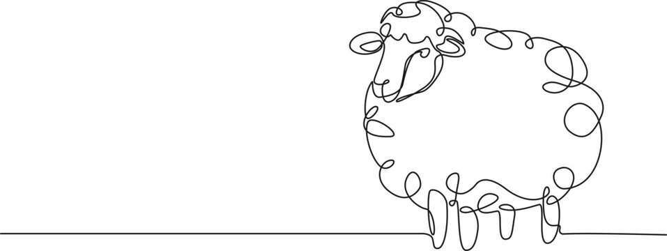 continuous single line drawing of domestic sheep, line art vector illustration