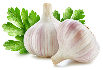 Organic garlic isolated on white background