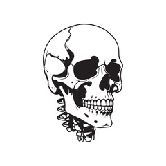 skeleton head bone vector illustration