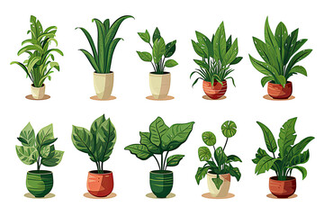 Set of illustrations of plants in a pot on a white background. Cartoon flat various indoor decorative potted plants for home or office interior.