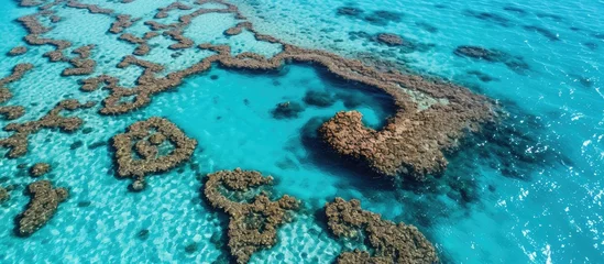 Tableau sur plexiglas  heart reef great barrier reef Whitsundays Queensland. with copy space image. Place for adding text or design  © vxnaghiyev