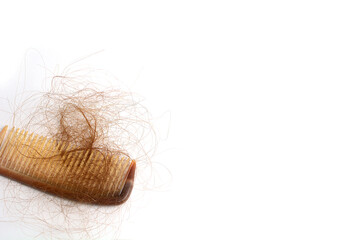 Hair loss in comb, hair fall everyday serious problem, on white background.