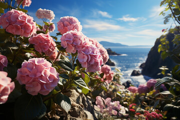 Hydrangea sea in nature